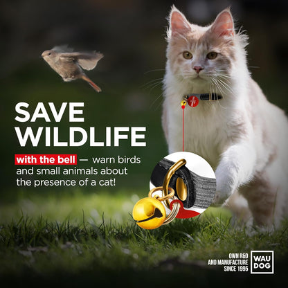 WAUDOG Ultra Soft Rolled Leather Cat Collar with Removable Bell, Safety Elastic Strap and QR ID Tag - Soft Padded for Small, Medium, and Large Cats - Round Kitten Collar for Male and Female Cats