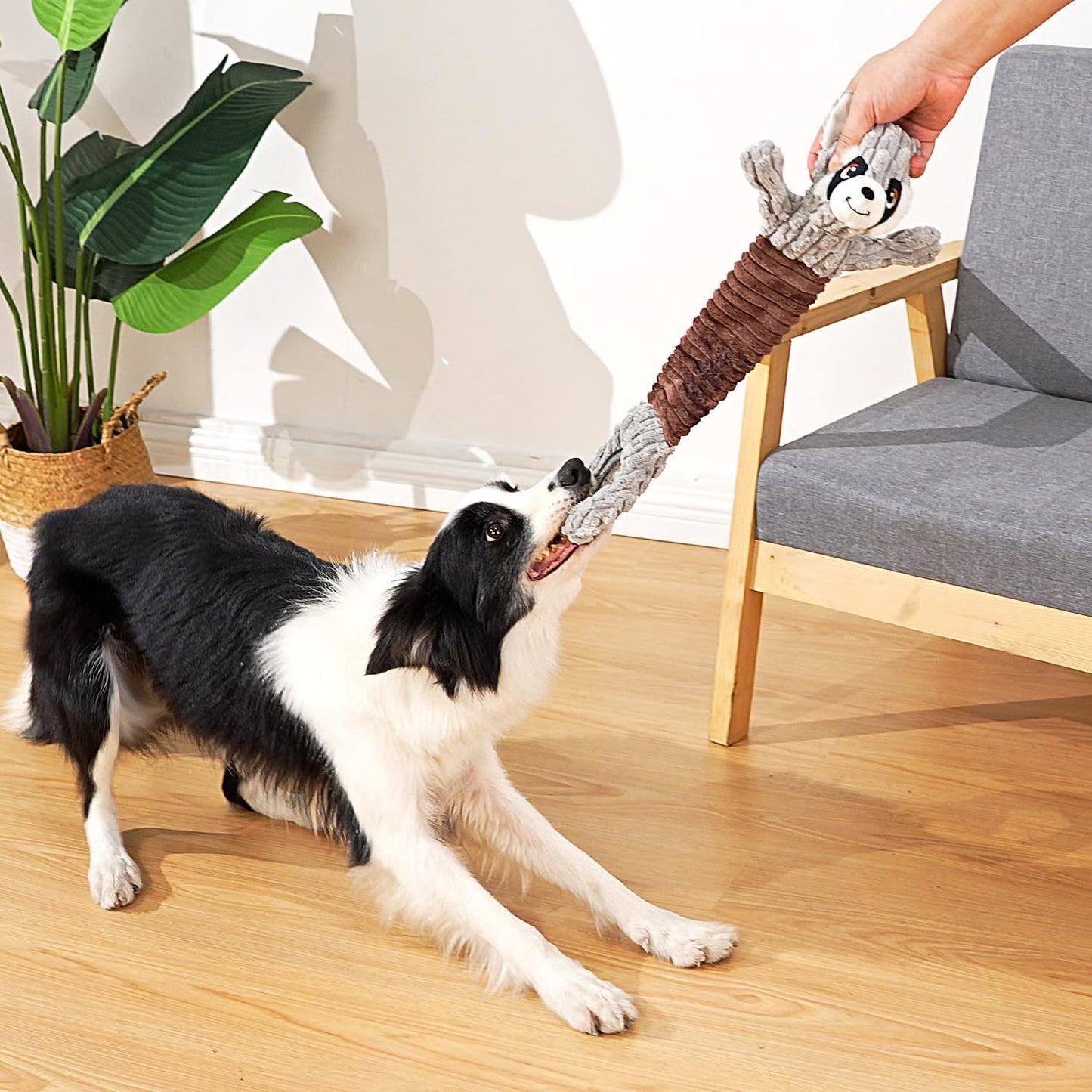 Tug of War Dog Toy, Durable Large Breed Dog Toy, Though Stuffed Dog Squeaky Toy with Crinkle Paper for Small, Middle and Big Dogs(Raccoon)