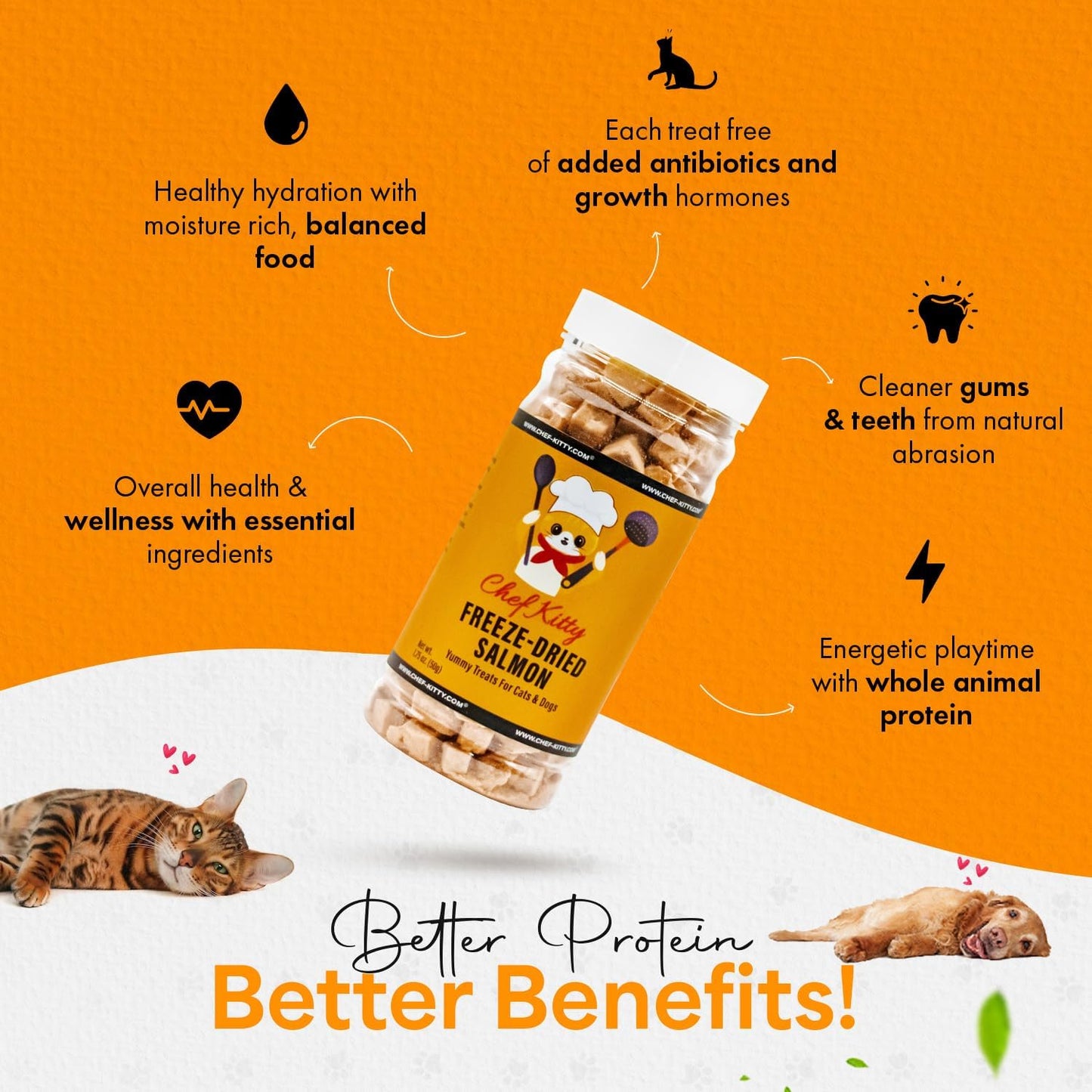 Freeze-Dried Salmon Treats for Cats & Dogs – 100% Wild Caught, Single Ingredient, High-Protein, Healthy Snack – No Additives or Preservatives – 1.4oz - Inspected & Tested in USA