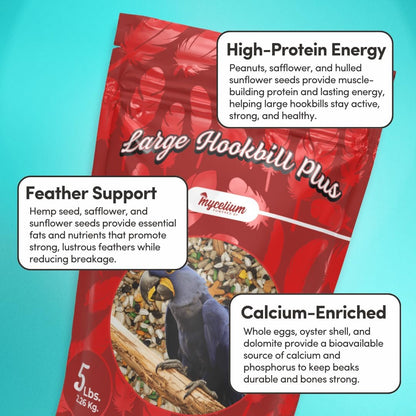 Mycelium Large Hookbil Plus | Clean & Safe Bird Food for Macaws, Cockatoos, Amazons | High in Protein & Fat | Seed Mix with Vitamins, Egg, Corn, Peanuts & Hemp Seed | Organic, Non-GMO 5 lb Bag
