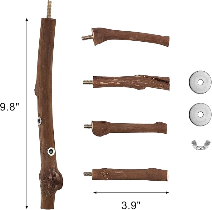 CozyCabin Natural Bird Perch Stand, Hanging Multi Branch Grapevine Parrot Perch Bird Cage Toys for Small Budgies Conure Parrot Parakeets Cockatiels Lovebirds (Branch)