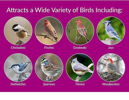 Desert Valley Sunflower Hearts and Chips Seed, All Natural, Non-GMO Premium Wild Bird and Wildlife Food (3 Pounds)