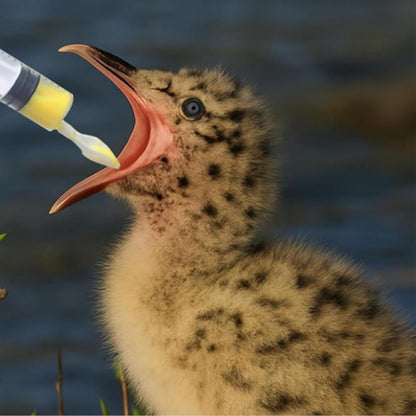 Baby Bird Feeding Syringe Set, Pet Parrot Milk Feeding Syringe with Tubes, Manual Syringe Feeder, Liquid Food, Reusable, Syringe with Spoon Tip（10ml*2+12ml*2+20ml+60ml）