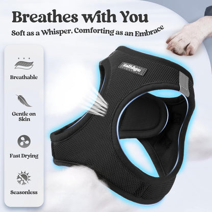 rabbitgoo Dog Harness Small Sized and Leash Set, Step in Soft Light Puppy Vest, Breathable Mesh Pet Harness, Reflective for Outdoor Safe Walking, Black XXL