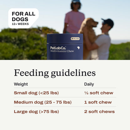 PetLab Co. 22 in 1 Dog Multivitamin - Support Dog's Immune Response, Skin, Coat, Joints & Overall Health - Vitamins A, E, D, B12, Minerals, Antioxidants - Chewable Pork Flavor