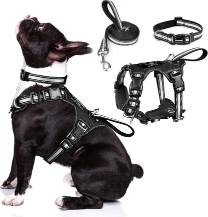 WINSEE Pet Harness Collar and Leash Set, All-in-one Reflective Dog Harness No Pull with Adjustable Buckles for Puppies, Small, Medium, Large, and Extra-Large Dogs (Medium, Black)