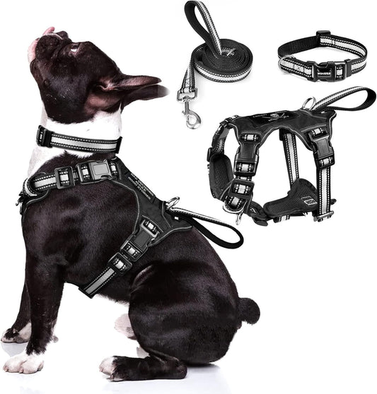 WINSEE Pet Harness Collar and Leash Set, All-in-one Reflective Dog Harness No Pull with Adjustable Buckles for Puppies, Small, Medium, Large, and Extra-Large Dogs (Medium, Black)