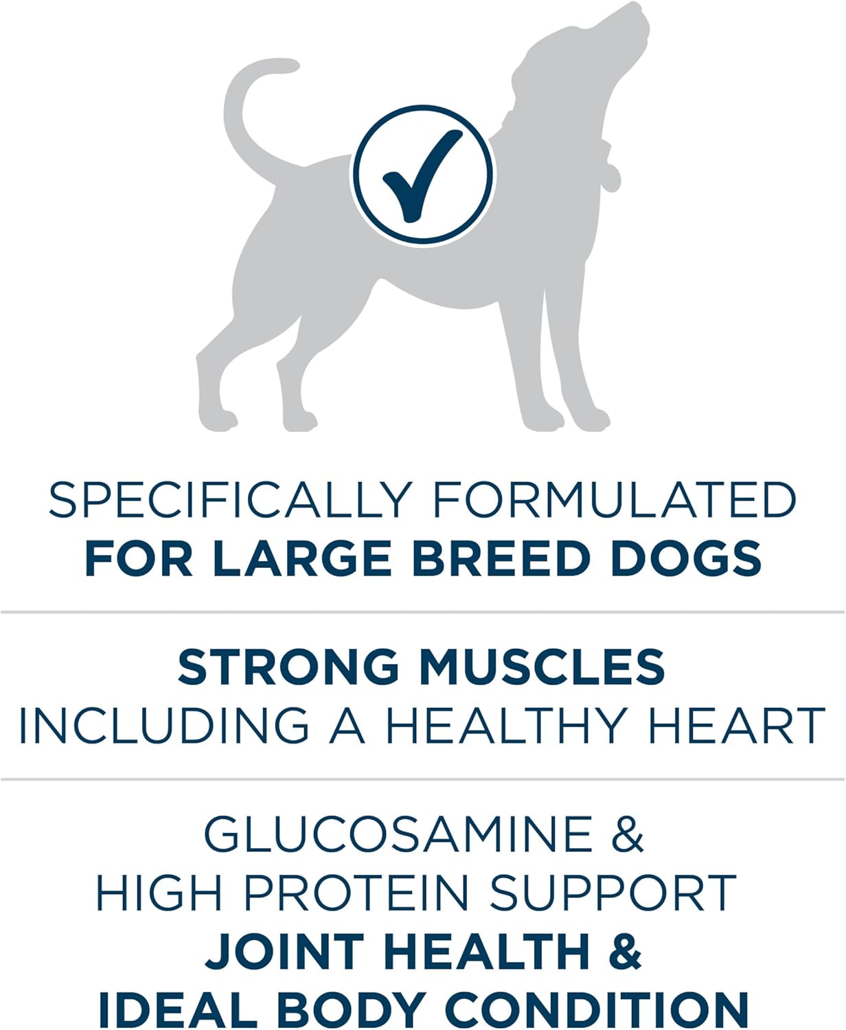 Purina ONE Plus Large Breed Adult Dog Food Dry Formula, Real Protein Rich Natural Chicken Flavor - 40 lb. Bag