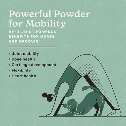 The Missing Link Hip & Joint + Probiotics Supplement 5lb Bag - Superfood Powder for Dog Cartilage & Bone Health, Joint Mobility & Flexibility