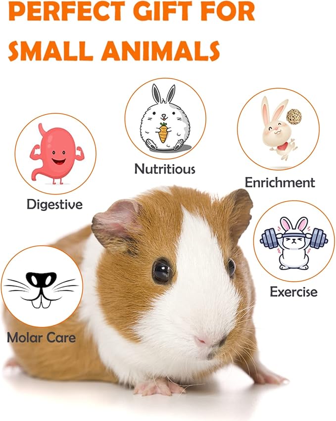 Sofier Hamster, Guinea Pig Toys Accessories Natural Chews for Teeth Rabbit Bunny Rat Chinchilla Hideout Ball Apple Wood Timothy Hay Sticks