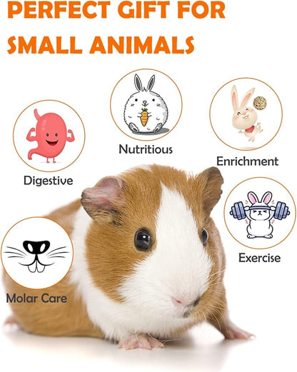 Sofier Hamster, Guinea Pig Toys Accessories Natural Chews for Teeth Rabbit Bunny Rat Chinchilla Hideout Ball Apple Wood Timothy Hay Sticks
