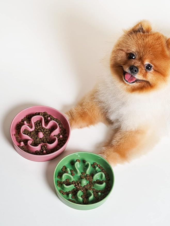 LE TAUCI Ceramic Slow Feeder Dog Bowls Small Breed, 0.6 Cups Dog Food Dish for Fast Eaters, Puzzle Bowl for Small Dogs and Cats,Clover Green