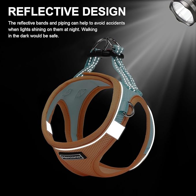 Mercano Soft Mesh Dog Harness and Leash Set, No-Chock Step-in Reflective Breathable Lightweight Easy Walk Vest Harnesses with Safety Buckle for Small Dogs, Cats (XXS, Orange Blue)