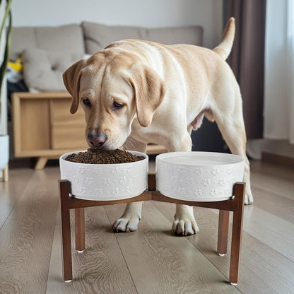 SPUNKYJUNKY Ceramic Dog Bowls with Acacia Wood Stand Raised Food and Water Bowl for Lage Dogs (21cm)