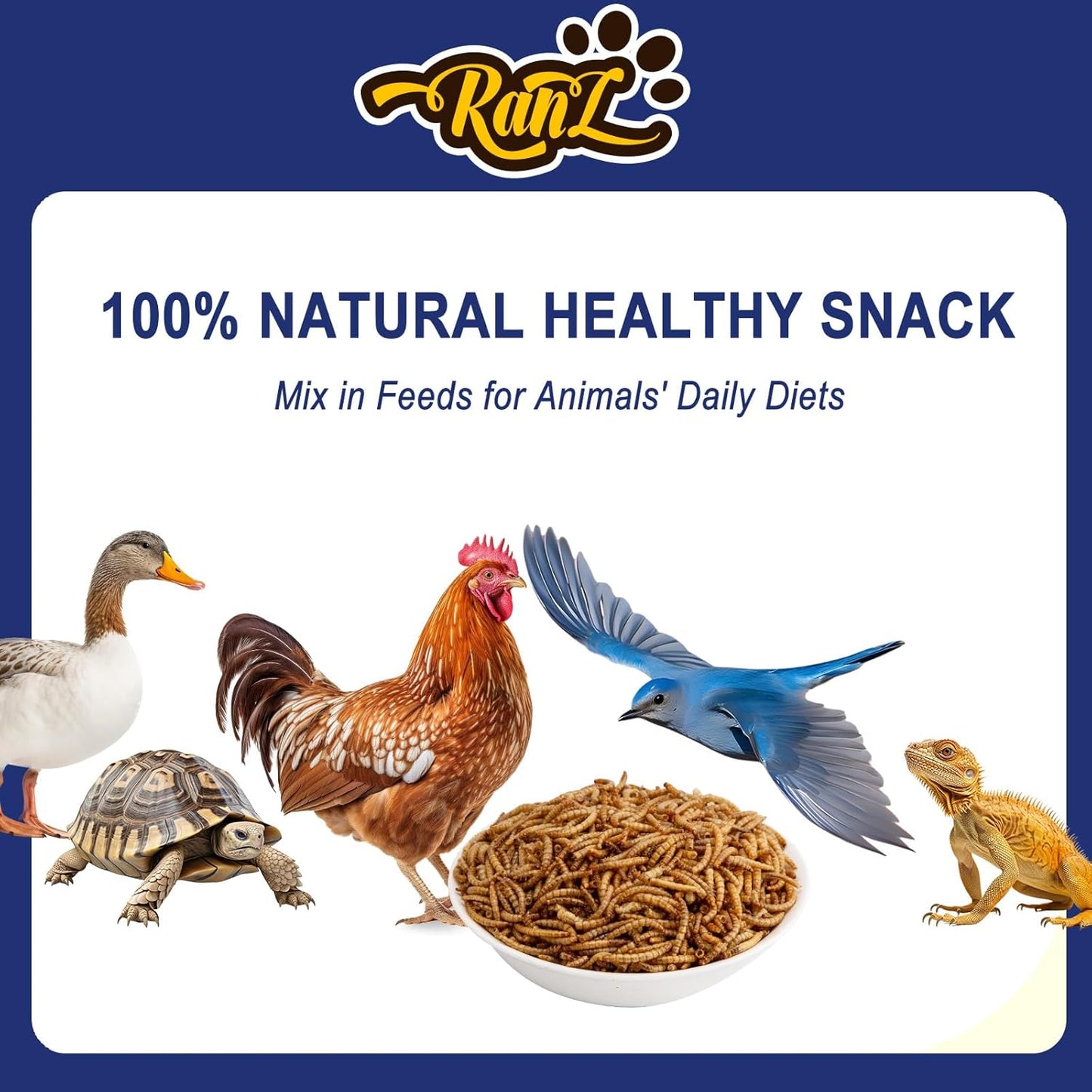 RANZ 20LBS Non-GMO Dried Mealworms for Chickens, High Protein Meal Worms, Premium Chicken Feed, Whole Large Mealworms for Blue Birds, Ducks, Fish