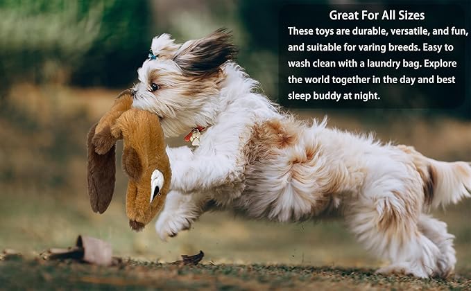 Jalousie Multipack Dog Squeaky Toys Bulk Bundle Pup Toy - Puppy Toys for Pets for Small Medium Breed (24 PCs Gift Basket)