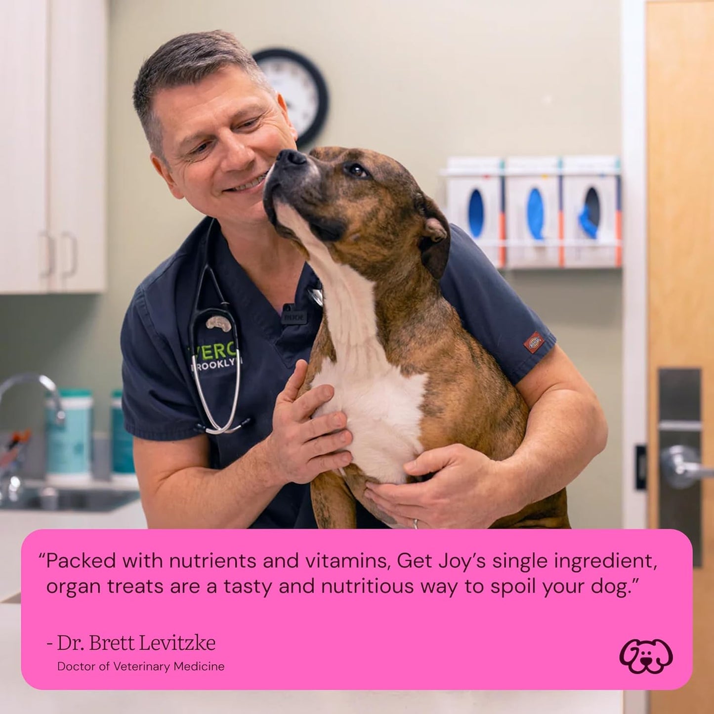 Get Joy Freeze Dried 100% Beef Liver Dog Treats, 4oz | Single Ingredient Organ Meat, High Protein Raw Dog Food Topper, Snack & Training Rewards | Grain Free, Gluten Free, Filler Free