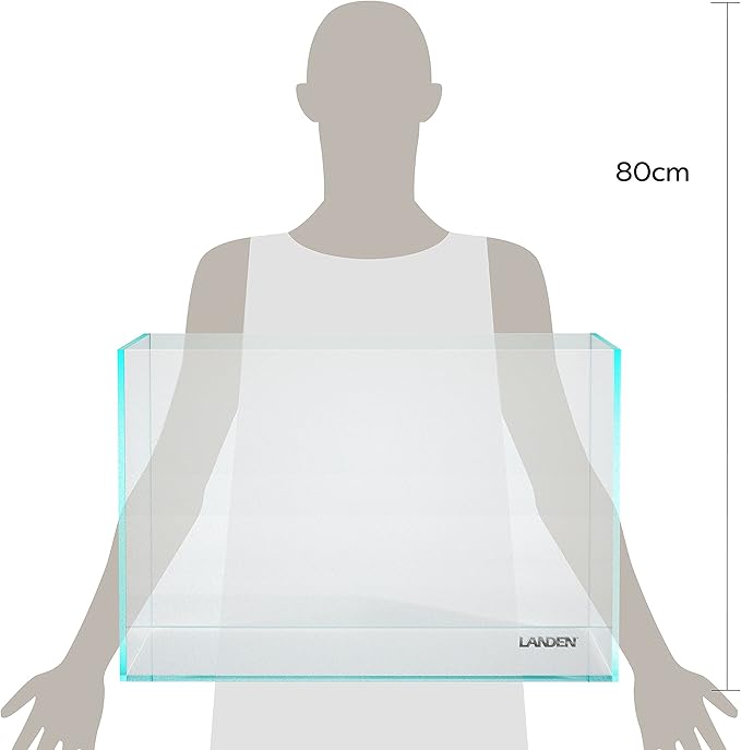 Landen 60P 23 Gallon Rimless Low Iron Aquarium Tank, W23.6×D15.7×H15.7 in(60x40x40cm) 8mm Thickness