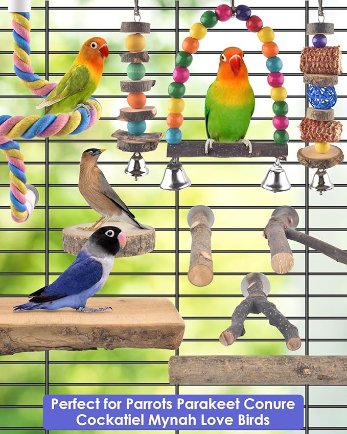 Bissap 10 PCS Bird Chew Toys, Parakeet Natural Wood Parrot Hanging Cage Toy Swing Rope Paw Fork Perch Stand Platform for Small Birds Conure Cockatiel Parrotlet Lovebird Budgie Exercise Training