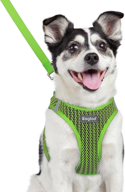 Eagloo Small Dog Harness and Leash Set, Step in Puppy Vest with Breathable Soft Mesh, Walking Reflective Pet Harness for Medium Small Dogs, Green, L