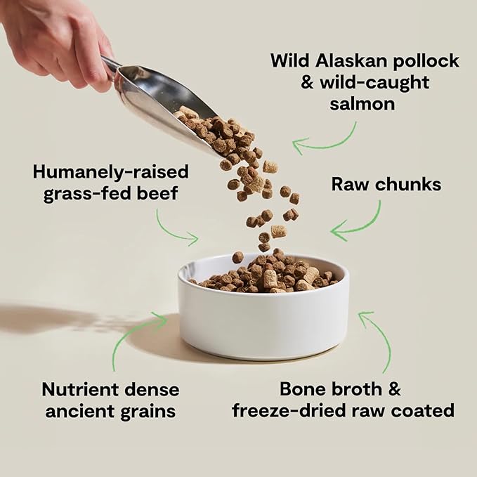Open Farm, RawMix Dry Dog Food with Ancient Grains, Protein-Packed Kibble Coated in Bone Broth with Freeze Dried Raw Chunks, Pollock Beef & Salmon, Tide & Terrain Recipe, 3.5lb Bag