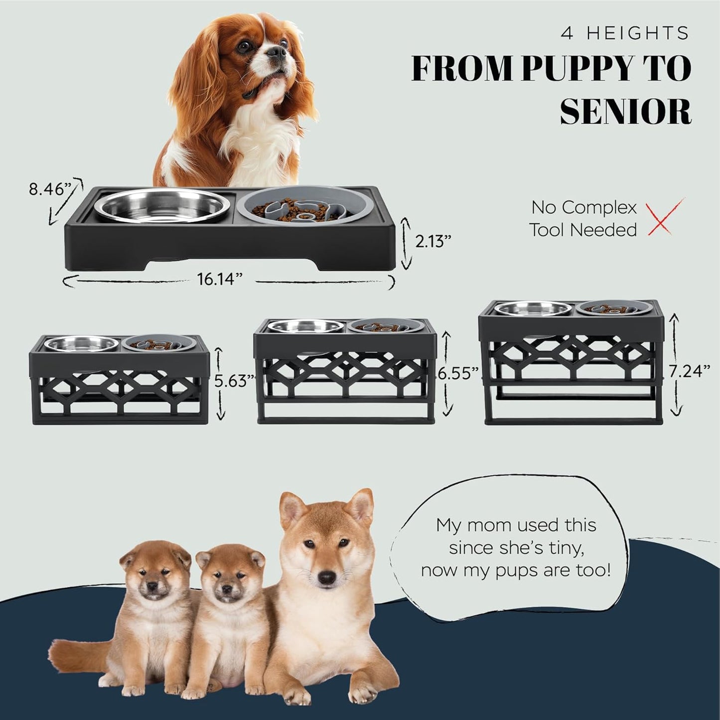 AVERYDAY Small Slow Feeder Dog Bowls Elevated, 4 Height Adjustable Raised Dog Bowl Stand with Stainless Steel Food and Water Bowl, Tall Dogs Feeding Station with Anti-Slip for Small Medium Breeds Dogs