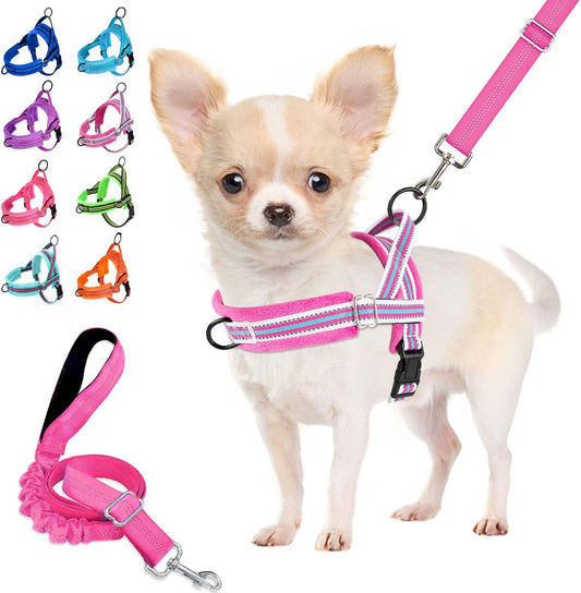 Lukovee No Pull Dog Harness and Leash Set, Soft Padded Small Dog Harness, Neck & Chest Adjustable Reflective Vest Puppy Harness with 4ft Lightweight Anti-Twist Dog Leash for Small Dogs (S, Fuschia)