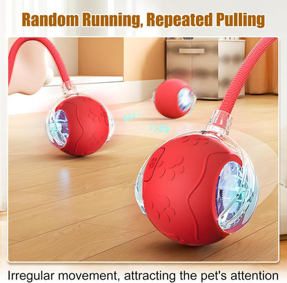 Interactive Cat Toy Balls,2025 New Interactive Rolling Cat Balls,Smart Automatic Rolling Pet Ball,Automatic Obstacle Avoidance Cat Toy with Rope for Cat & Dog (Gray)