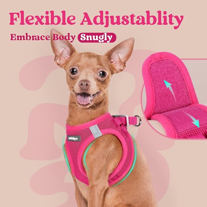 rabbitgoo Small Dog Harness, Step-in Soft Mesh Puppy Vest with Safety Buckle, Breathable Reflective Pet Harness for Large Dogs, Rose Red XXL