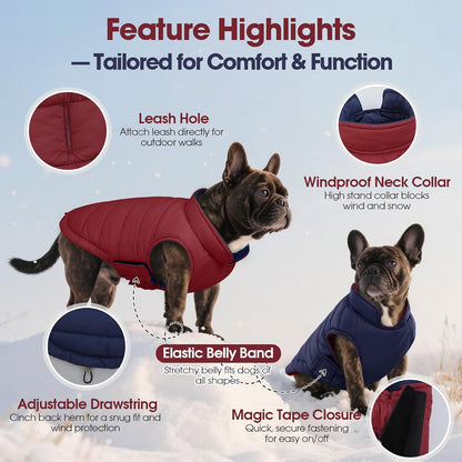 QBLEEV Reversible Dog Winter Coat, Waterproof Windproof Warm Jacket with Adjustable Hook & Loop Design, Lightweight Puffer Vest for Medium Dogs, Wine Red, M – Fits Pug, Beagle, Corgi