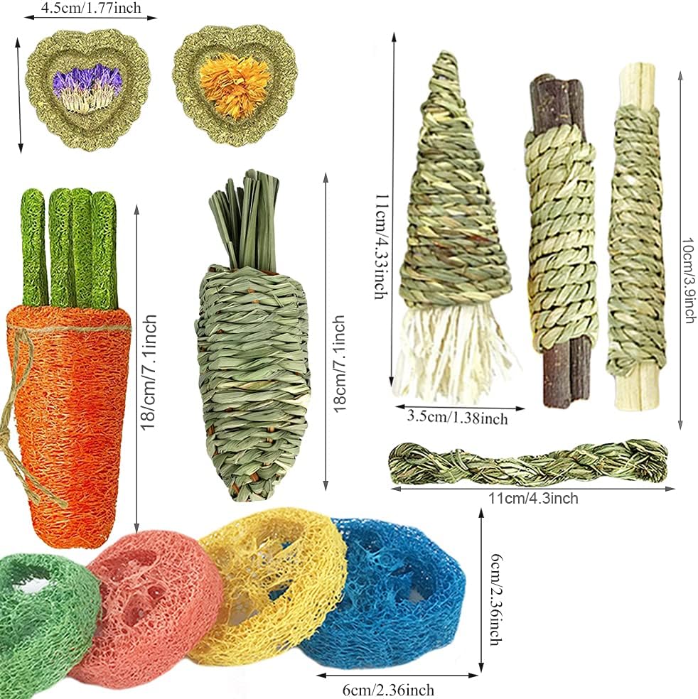 16 PCS Rabbit Toys, Hamster Toy for Molar, Loofah String Carrot Toys for Dental Health, Promote Digestion, for Best Hamster Toys Gifts