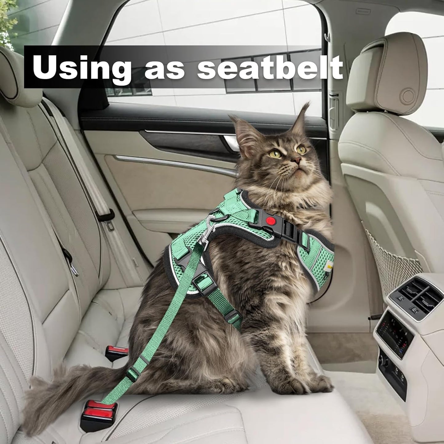 Cat Harness and Leash for Walking, Retractable Cat Harnesses and Leash Set Escape Proof, Breathable Soft Kitten Small Large Harness for Travel Training and Walking, Green, S