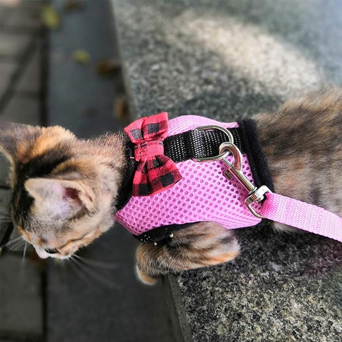 Rypet Guinea Pig Harness and Leash 2 Pieces - Soft Mesh Small Pet Harness with Safe Bell, No Pull Comfort Padded Vest for Guinea Pigs, Ferret, Chinchilla and Similar Small Animals