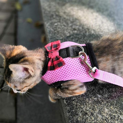 Rypet Guinea Pig Harness and Leash 2 Pieces - Soft Mesh Small Pet Harness with Safe Bell, No Pull Comfort Padded Vest for Guinea Pigs, Ferret, Chinchilla and Similar Small Animals