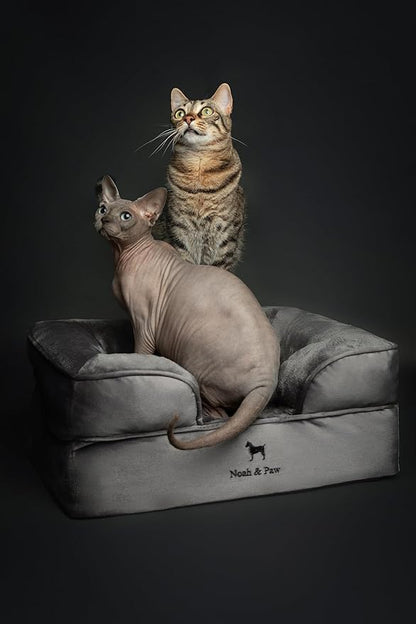 NOAH & PAW Small Dog Bed, 20x15x8 Inch, Cat Bed for Indoor Cats, Orthopedic Eggshell Memory Foam Infused with Cooling Gel, Waterproof Inner Cover Machine Washable (Velvet Collection)