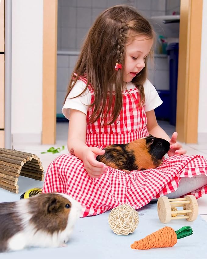 Sofier Hamster, Guinea Pig Toys Accessories Natural Chews for Teeth Rabbit Bunny Rat Chinchilla Hideout Ball Apple Wood Timothy Hay Sticks