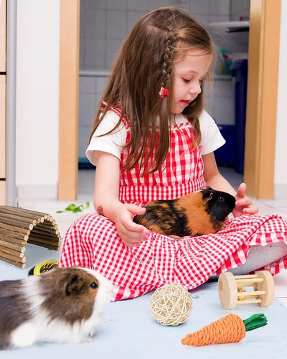 Sofier Hamster, Guinea Pig Toys Accessories Natural Chews for Teeth Rabbit Bunny Rat Chinchilla Hideout Ball Apple Wood Timothy Hay Sticks