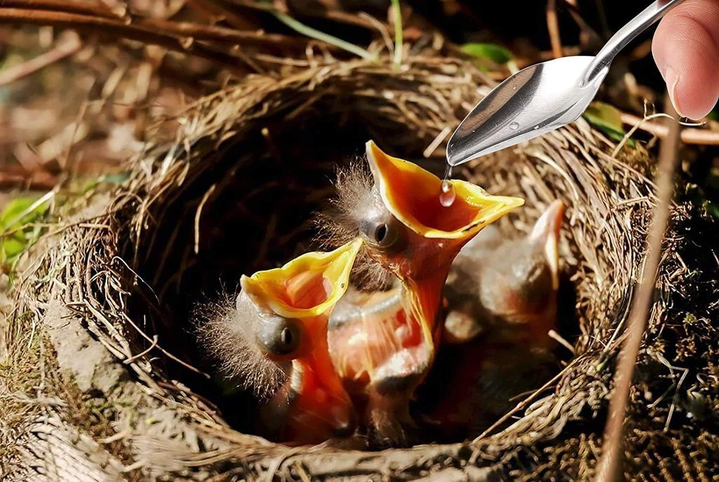 60ML Baby Bird Parrot Feeding Tubes, Liquid Medicine Feeder Push-Tube Pet Cat Dog Feeder with 2 Pcs Stainless Steel Metal Feeding Spoon