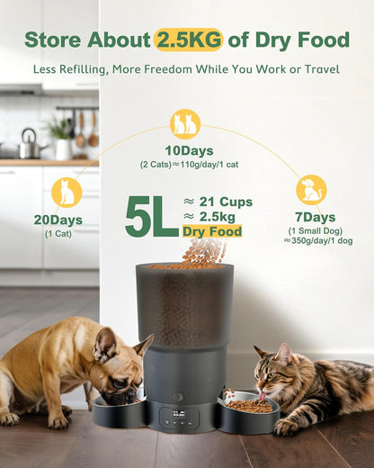 Gimars 5L Automatic Cat Feeder for 2 Cats, Programmable 1-6 Meals Cat Food Dispenser with Stainless Steel Bowl, Easy Setup, Dual Power Supply,10s Meal Call Timed Pet Feeder for Cats and Small Dogs