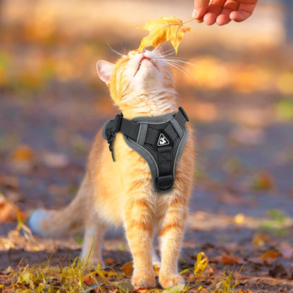 Cat Harness and Leash for Walking Soft Cat Harness Escape Proof, Adjustable Kitten Harness Cat Leash Reflective Strips Jacket, Breathable Cat Vest Harness Set for Kitten Easy to Wear Outdoor Walking