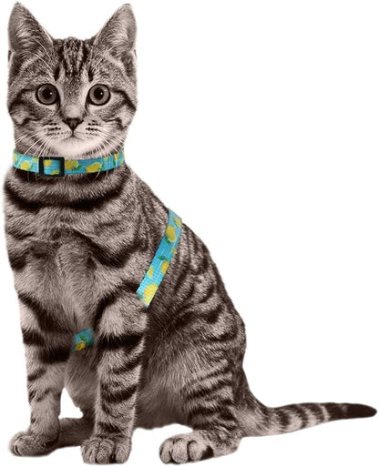 azuza Cat Harness and Leash Set for Safe Walking and Travel, Escape Proof Cat Harness, Lightweight Soft and Comfortable, Adjustable Kitten Harness for Small Medium Large Cats, Lemon