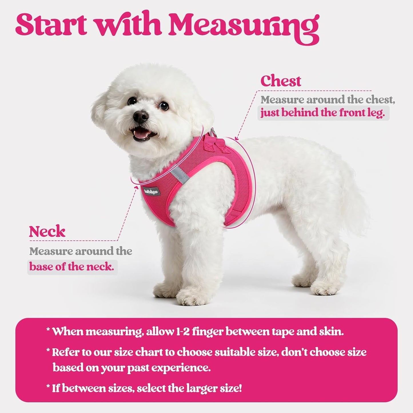 rabbitgoo Dog Harness Medium Sized and Leash Set, Step in Soft Light Puppy Vest, Breathable Mesh Pet Harness, Reflective for Safe Easy Walking, Rosa Red XXL