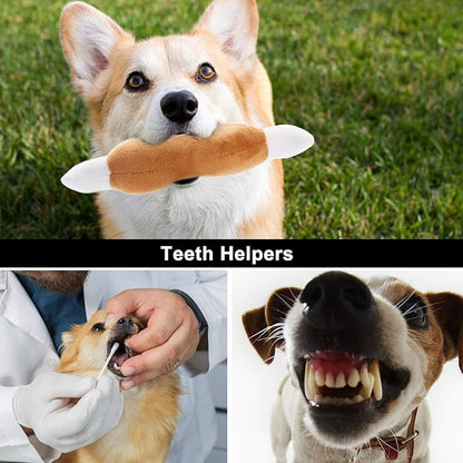 Nocciola Dog Squeaky Toys, Plush Small Dog Toys for Dogs, Stuffed with Squeakers,12 pcs Puppy Toys with a Carrying Bag for Small Medium Size