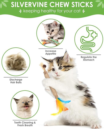 TINDTOP Catnip Chew Toys for Cats, 4 Pack Natural Silvervine Sticks for Kittens Teeth Cleaning, Matatabi Dental Care, Increase Appetite, Aggressive Chewers Cat Dental Toy