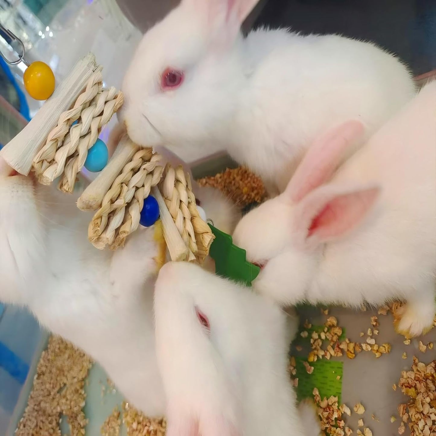 Bunny Chew Toys,Natural Chinchilla Chew and Treats Toys,Rabbit Toys for Guinea Pigs Hamster Gerbils Chinchilla and Other Small Pets(4pcs)