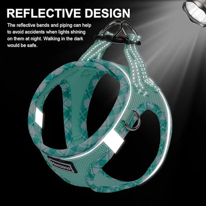 Mercano Soft Mesh Dog Harness and Leash Set, No-Chock Step-in Reflective Breathable Lightweight Easy Walk Vest Harnesses with Safety Buckle for Small Dogs, Cats (Light Green, XS)