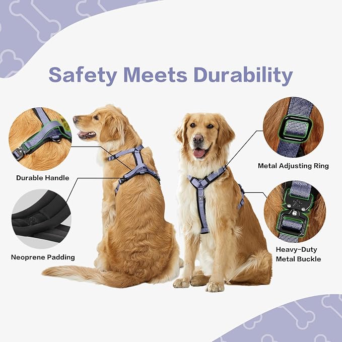 PawsPassion Dog Harness for X-Large Dogs, No Pull Dog Harness with Metal Hardware, Ergonomic Y-Shaped Design, Soft Padding, Padded Handle, Durable High-Tensile Nylon (Lilac Breeze, XL)