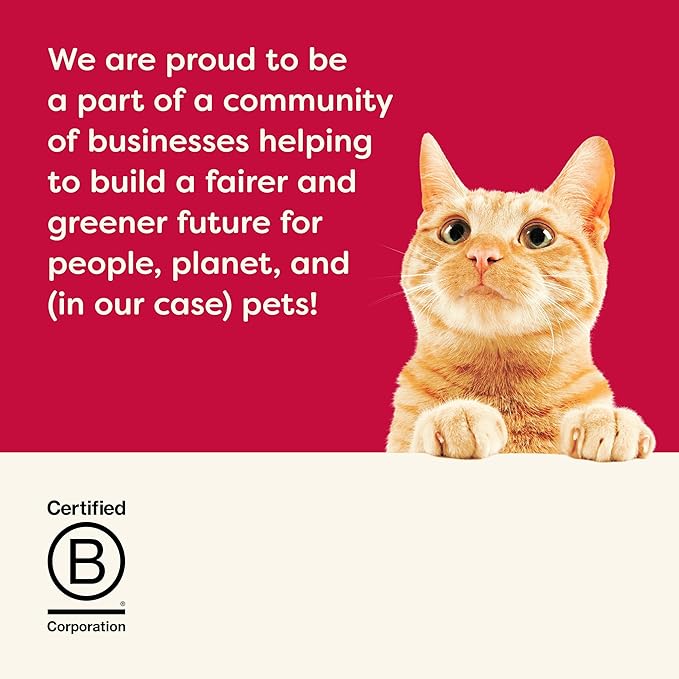 Applaws Natural Wet Canned Cat Food, Limited and Natural Ingredients, High Protein with No Artificial Additives, Holiday Edition Cat Food Variety Pack in Broth (6 x 2.47oz Cans)