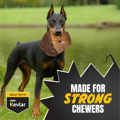 Bite Force -Durable & Strong Dog Toy Cheeky Acorn with Squeaker, Kevlar-Reinforced for Aggressive Chewers for Small Medium Large Dogs - Brown.