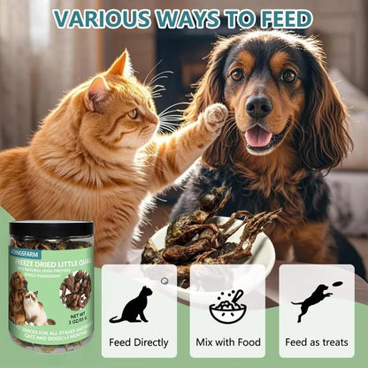 Freeze Dried Little Quail, 3 Oz Quail Dogs Cat Treats, Single Ingredient Freeze Dried Cat and Dog Treats Delicious Training Snacks, Natural Food Healthy Animal Protein Pet Food